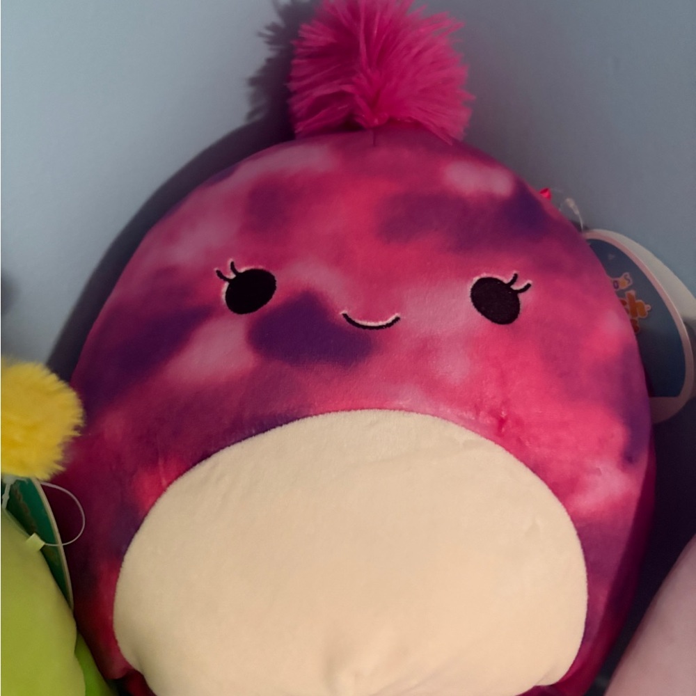 Squishmallows Pink and Purple Stuffed Animal